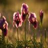  צילום: Mendy Hechtman/Flash90 תחזית מזג האוויר
