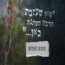  צילום: ללא חדשות