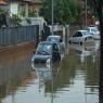  צילום: Edi Israel/Flash90 חדשות