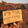  צילום: ללא חדשות