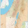  צילום: עיריית צל אביב חדשות