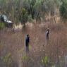 צפון השומרון, גם בעזה זה התחיל בטפטוף צילום: Hillel Maeir/Flash90 ביטחון