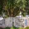 יבנה צילום: Yossi Aloni/Flash90 חדשות