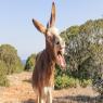  צילום: shutterstock דייטים