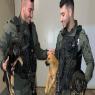 חילצו גורים צילום: דוברות משטרה חדשות