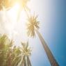תחזית מזג האוויר - חם מאוד צילום: shutterstock תחזית מזג האוויר