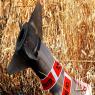 רקטה, ארכיון צילום: shutterstock ביטחון