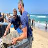 צב הים שוחרר בחזרה לים צילום:  שגיא נווה מרום, מתנדבת רשות הטבע והגנים חדשות