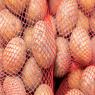 תפוח אדמה לבן ואדום, מה ההבדלים? צילום: namaki,Shutterstock אוכל