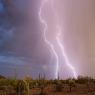 אירוע גשם חריג צילום: Sirlin,Shutterstock חדשות