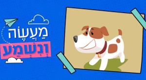 הכלב שרגא צילום: ללא הורים וילדים