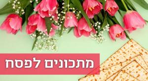 מתכונים לפסח צילום: סטודיו כיפה אוכל
