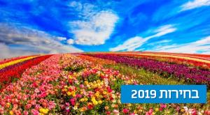  צילום: shutterstock הורים וילדים