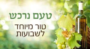  צילום: סטודיו כיפה אוכל