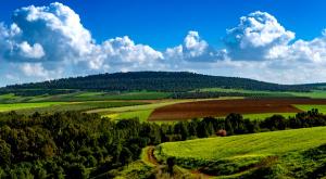  צילום: shutterstock הורים וילדים
