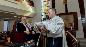 הברית המרגשת צילום: ליסה ריץ ברנז'ה