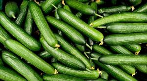 לשמור על המלפפון צילום: Tavrius,Shutterstock אוכל