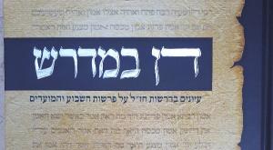 כריכת הספר צילום: ד"ר איתן פינקלשטיין פרשת בהעלותך