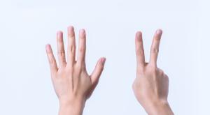  צילום: shutterstock ספירת העומר