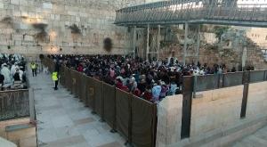 הכותל המערבי, הבוקר צילום: המטה המשותף לשמירה על קדושת הכותל חדשות