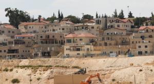 היישוב תקוע צילום: פלאש 90 חדשות