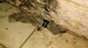 בקבוק התבערה בביתו של קינג צילום: ללא חדשות