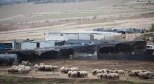 הפזורה הבדואית בנגב צילום: הדס פרוש, פלאש 90 חדשות