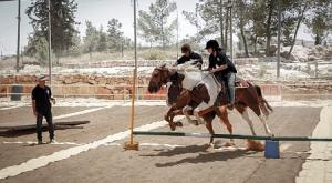 רכיבה על סוסים צילום: גרשון אלינסון\פלאש 90 חדשות