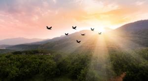  צילום: shutterstock תפילה