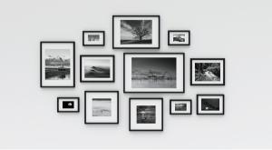  צילום: shutterstock פרשת חקת