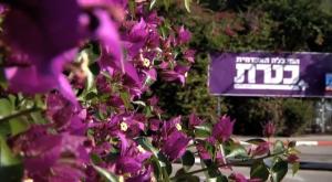  צילום: מכללת כנרת חינוך