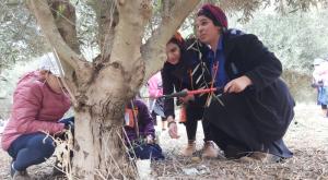 נטיעות בתנועת עזרא צילום: תנועת עזרא ברנז'ה