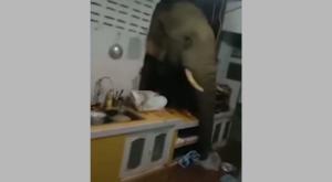  צילום: צילום מסך קריאייטיב