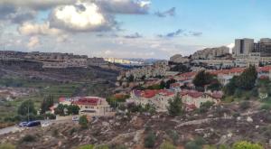 מועצה מקומית אפרת צילום: אלעד הומינר חדשות
