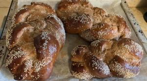 החלות של איילת שקד שעוררו סערה צילום: באדיבות המצלם דעות