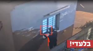  צילום: מתוך הסרטון  חדשות