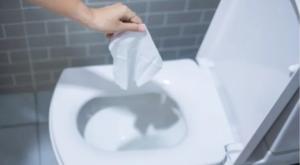 מגבונים באסלה צילום: שאטרסטוק חדשות