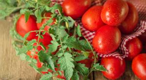 עגבניות מעוררות תאבון |  צילום: LesiChkalll27,Shutterstock אוכל