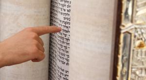 פרשת השבוע צילום: EAZN,Shutterstock פרשת וישב