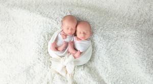 פרשת השבוע פרשת תולדות |  צילום: Svetlana Satsiuk,Shutterstock פרשת תולדות