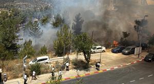שריפה ביער ירושלים |  צילום: תיעוד מבצעי כב"ה מחוז ירושלים מבזקים