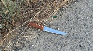  צילום: דובר צה"ל חדשות