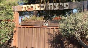 פיצה כפרית צילום: כפרית בטאבון מסעדות