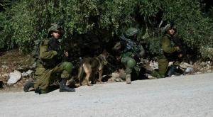  צילום: דובר צה"ל חדשות