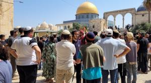  צילום: מנהלת הר הבית חדשות