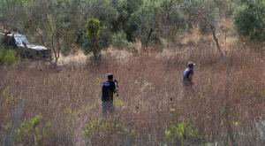 צפון השומרון, גם בעזה זה התחיל בטפטוף צילום: Hillel Maeir/Flash90 ביטחון