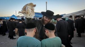כפרות צילום: Yaakov Lederman/Flash90 חדשות