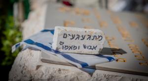בית עלמין צבאי, לתת קדימות למשפחות צילום: Chaim Goldberg,Flash90 חדשות