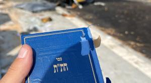 ספר התהילים נותר שלם צילום: דוברות ברנז'ה