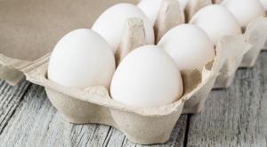 ביצים צילום: dashtik,Shutterstock אוכל